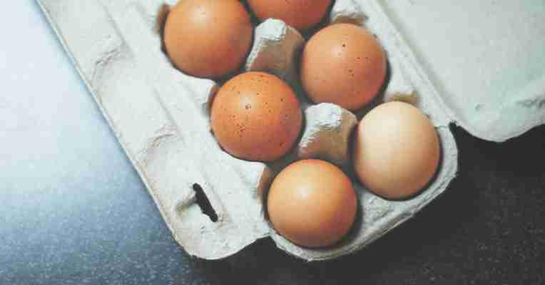 Unleash the Benefits of Egg White Protein