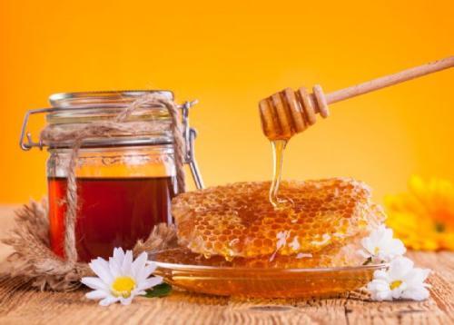 What are the Differences Between Propolis and Honey?