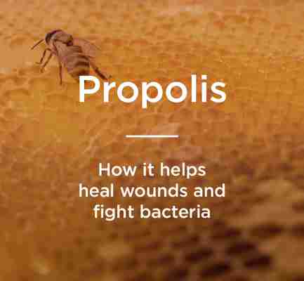 Propolis: Benefits, Uses, and More