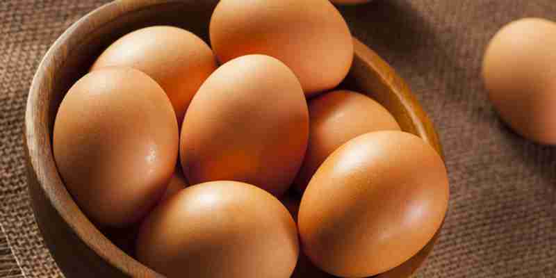 Egg-White Protein Powder